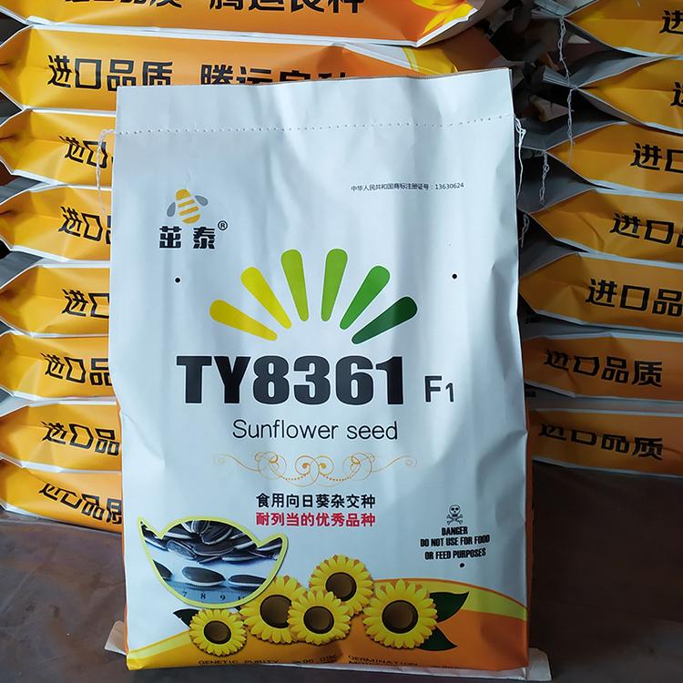 食葵种子向日葵大粒瓜子8363抗列当抗倒伏8361高产大面积播内蒙31678新疆耐旱早熟食用向日葵6013葵花