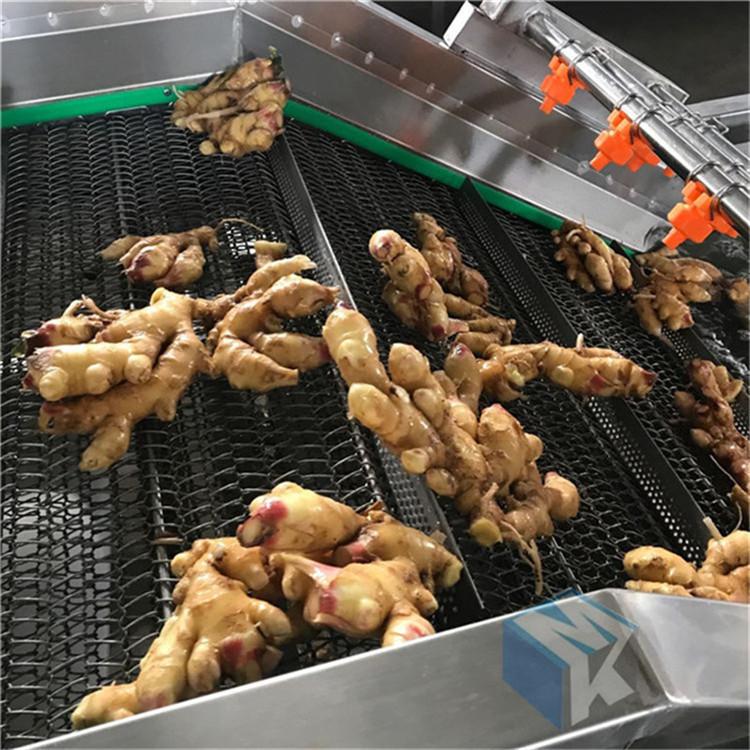 生鲜配送叶类菜清洗机 净菜加工成套设备