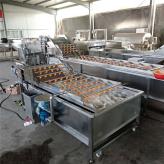 农商新模式芒果清洗机 果蔬加工生产线设备加工厂家