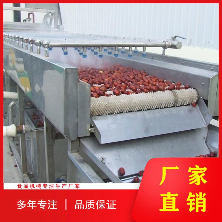 不锈钢根茎类毛辊清洗机 红薯土豆萝卜魔芋毛辊清洗机 源头厂家