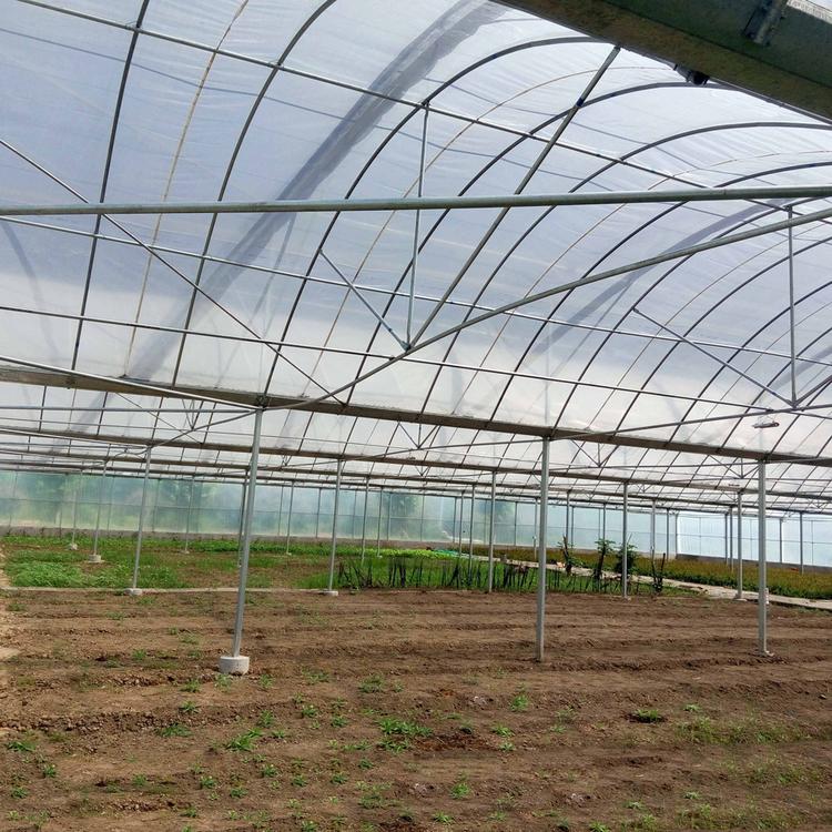 蔬菜温室大棚价格 蔬菜大棚造价 山东蔬菜种植大棚
