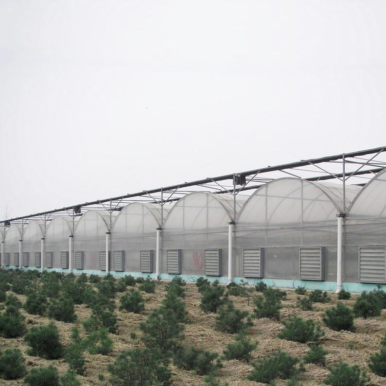 蔬菜温室大棚配件 蔬菜大棚材料 承接蔬菜连体大棚