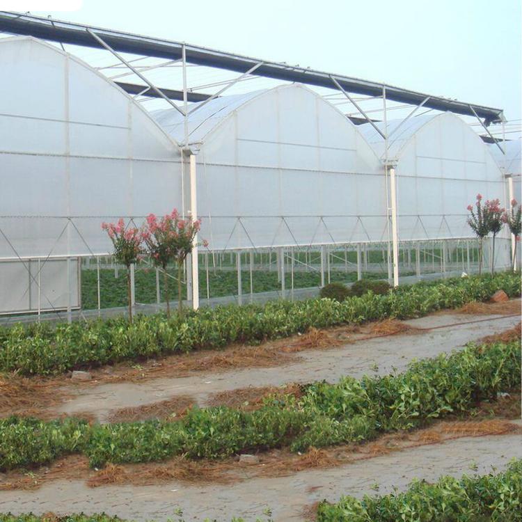 蔬菜温室大棚价格 蔬菜温室大棚设计 山西蔬菜种植大棚
