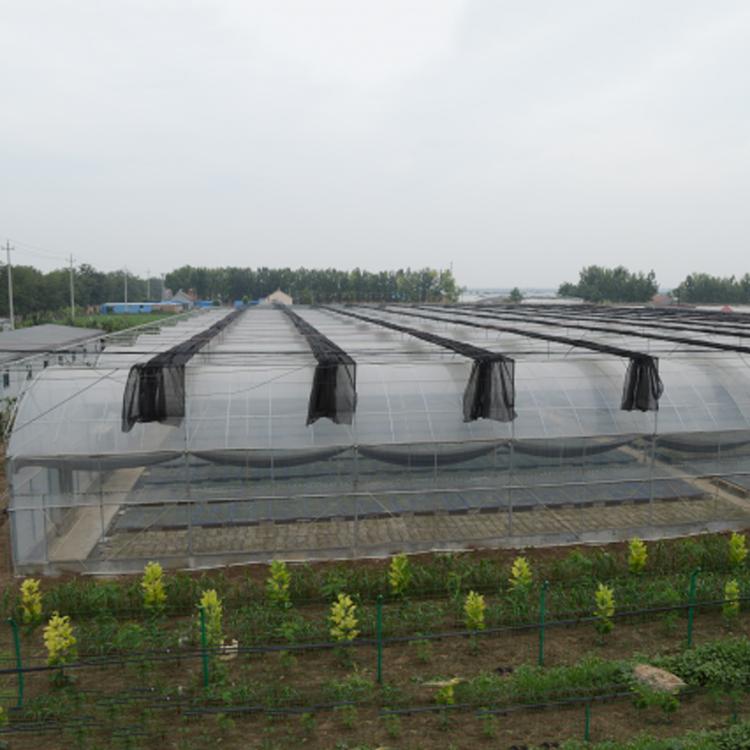 蔬菜温室大棚建造 蔬菜大棚建造 山东蔬菜连体大棚