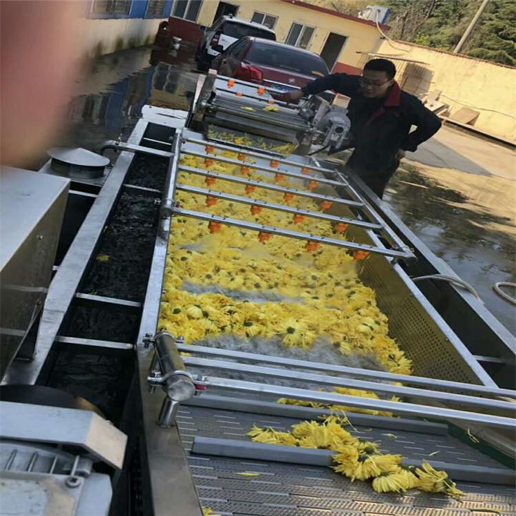 富彬果蔬气泡喷淋清洗机  车厘子草莓清洗设备  果蔬清洗机价格