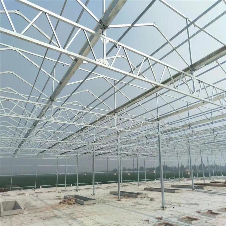 新型玻璃温室大棚 外遮阳连栋大棚 简易温室大棚 免费安装设计 推荐鋆成兴达