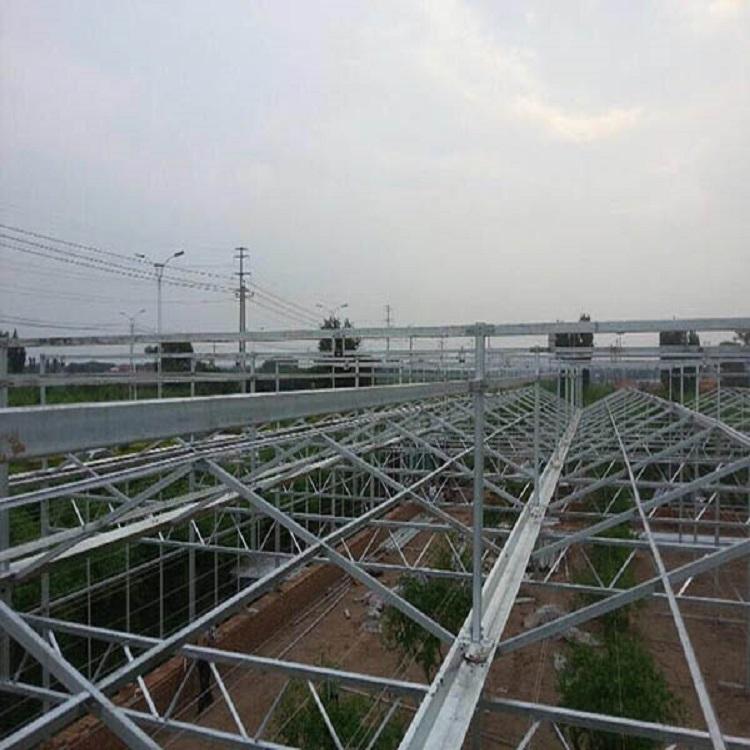 温室大棚 免费测量 温室大棚定制