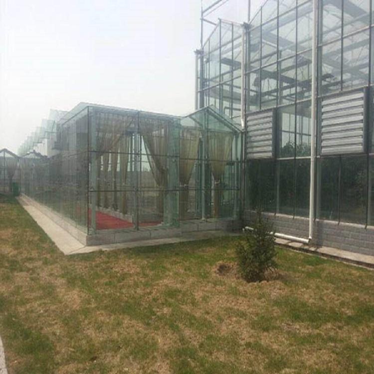 免费测量 纹络温室大棚 青州纹络温室大棚定制
