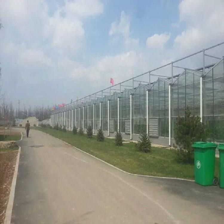 新型纹络温室 免费测量 新型纹络温室承建
