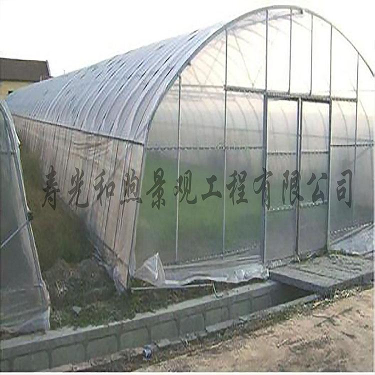 圆拱型连栋温室大棚建设  薄膜温室大棚设计厂家 温室大棚和煦品牌