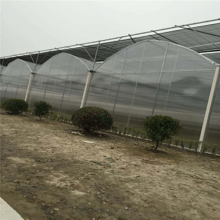 连栋薄膜温室大棚 建设连栋薄膜温室大棚 连栋薄膜温室大棚方案