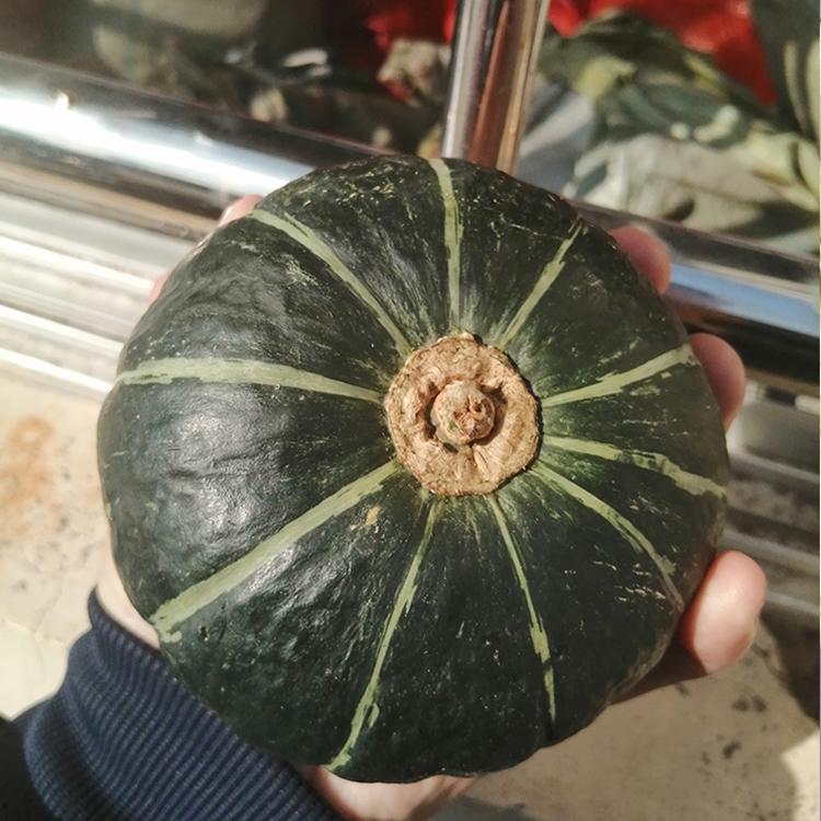 板栗南瓜价格 贝贝南瓜批发 产地直供美味贝贝南瓜