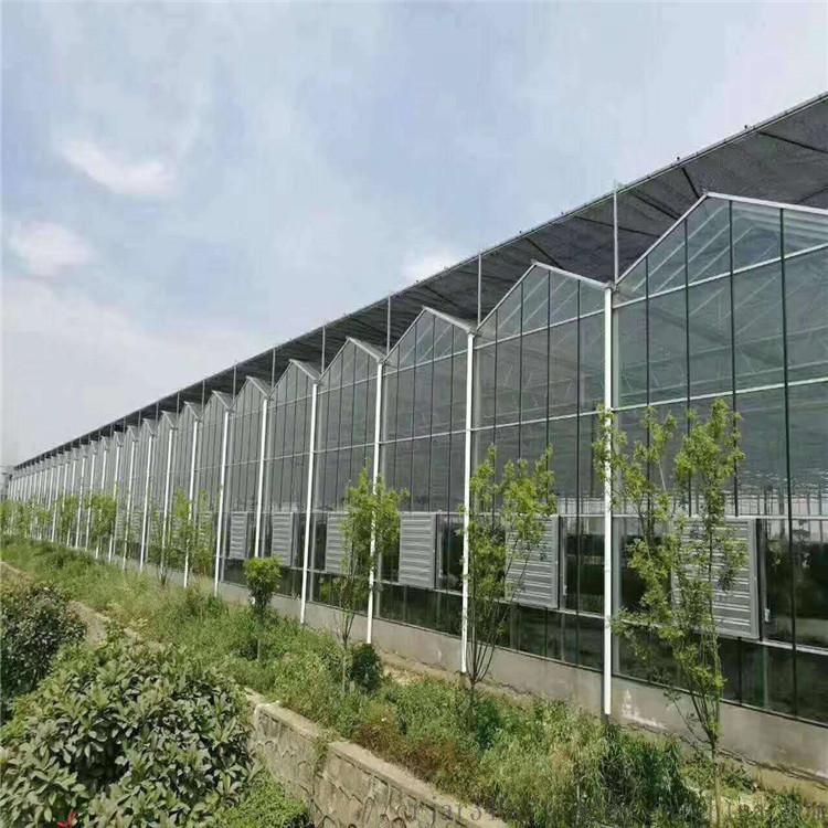鸿川温室公司生产建设 温室大棚骨架 玻璃温室大棚