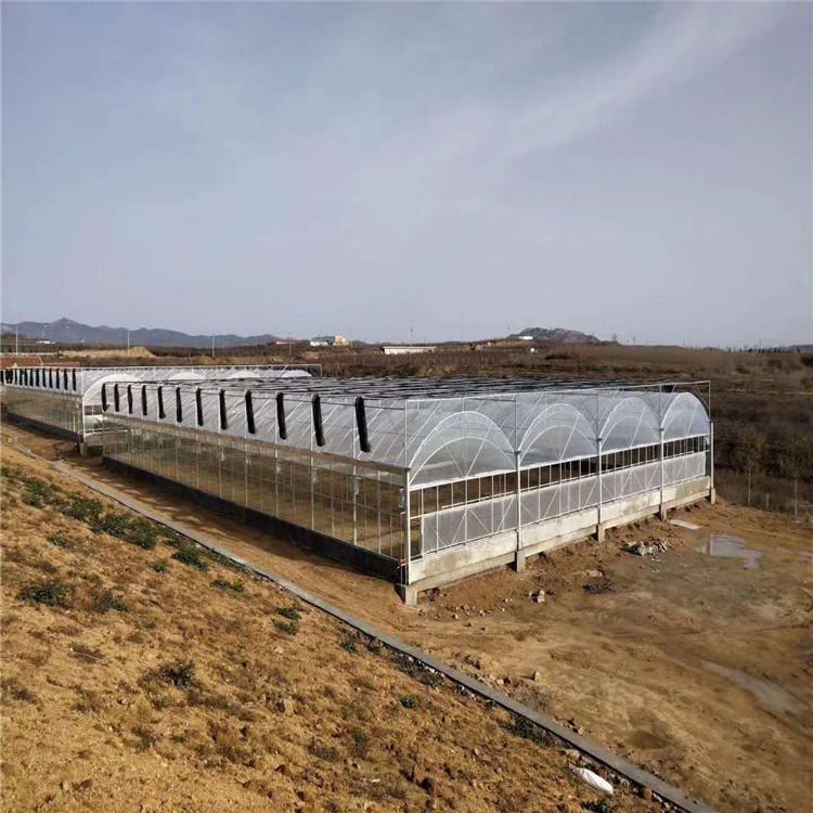 连栋薄膜温室大棚工程 薄膜温室大棚材料供应