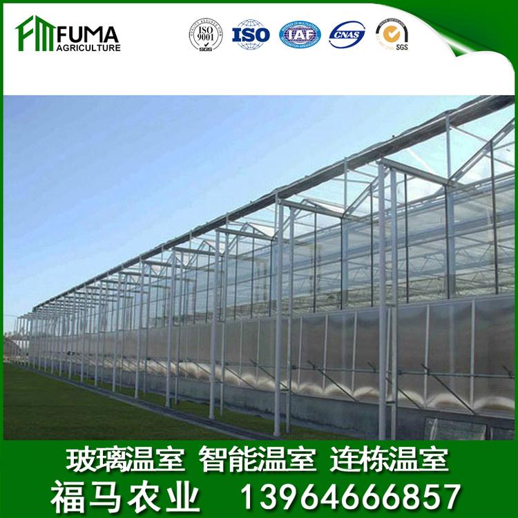 温室大棚工程 连栋温室大棚设计 连栋温室大棚建设