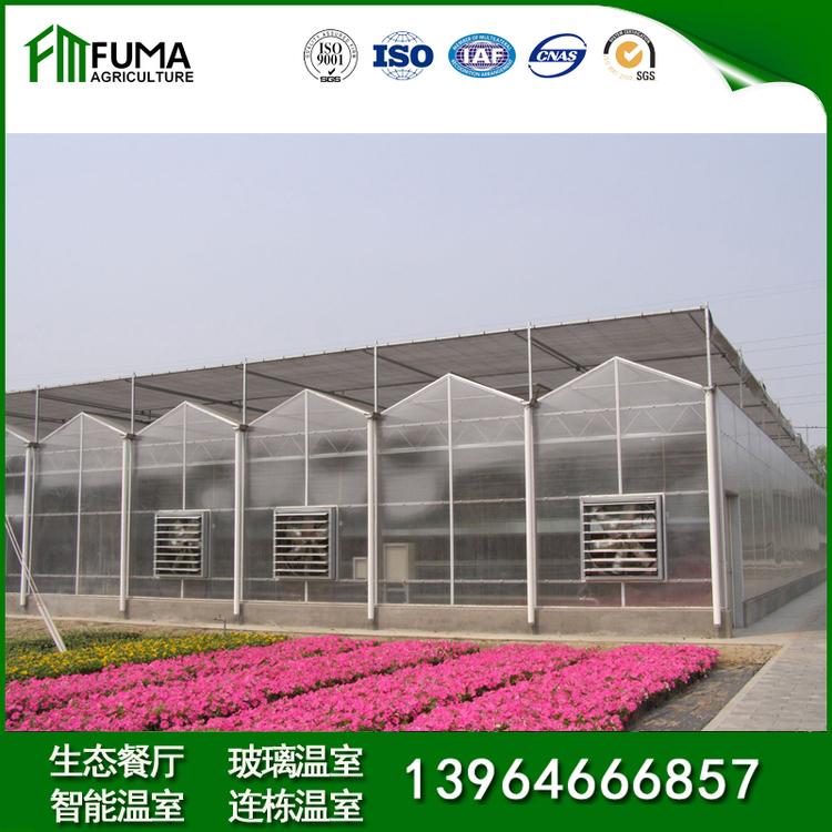 福马农业 透光保温薄膜温室大棚 日光温室建造