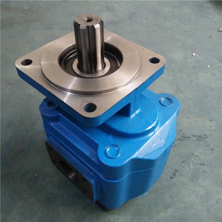 供应 4110000162 临工装载机齿轮油泵 JHP3160 左矩