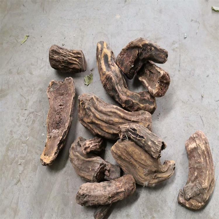 四川大黄干品 /四川大黄干品直销/四川大黄干品统货
