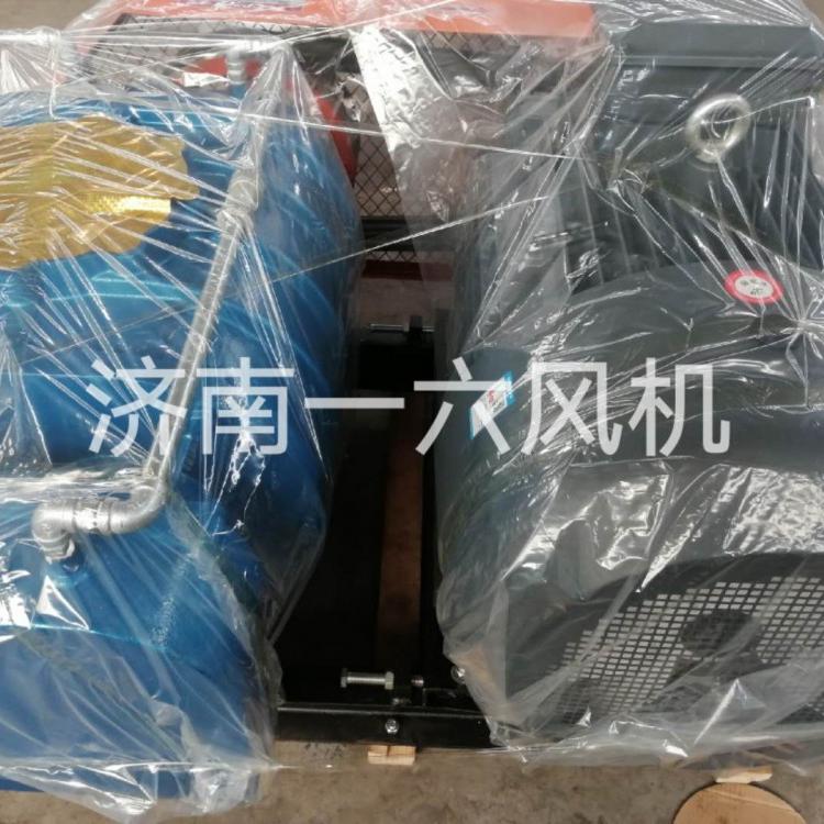 低噪音双油箱熔喷布罗茨鼓风机水产养殖罗茨风机生活污水处理风机售后
