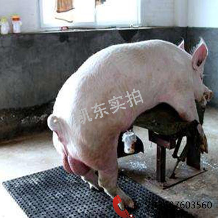 多孔采精防滑垫_青岛凯东母猪产床垫_兽用防滑垫加厚款22mm