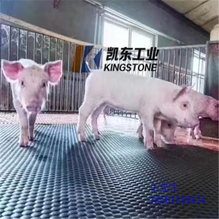 猪用育肥垫 青岛凯东母猪产床垫 保温垫厂家直销耐撕咬