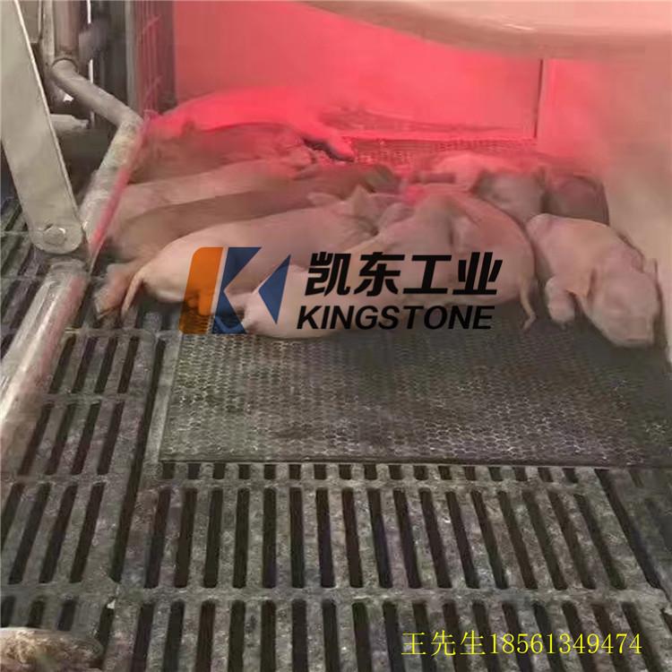体位垫 青岛凯东母猪产床垫 猪用保育垫厂家直销耐撕咬