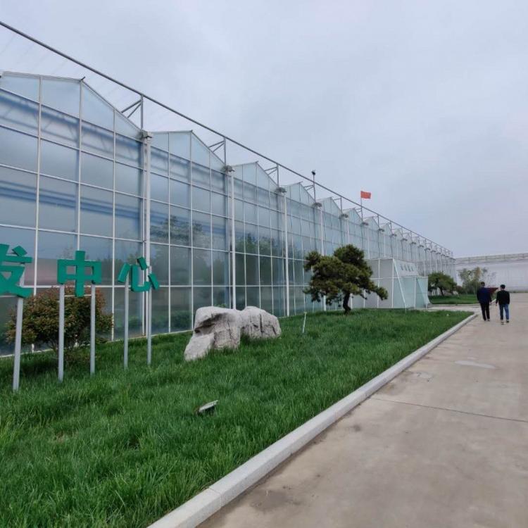 连栋玻璃温室 连栋玻璃大棚 文洛式玻璃温室承建