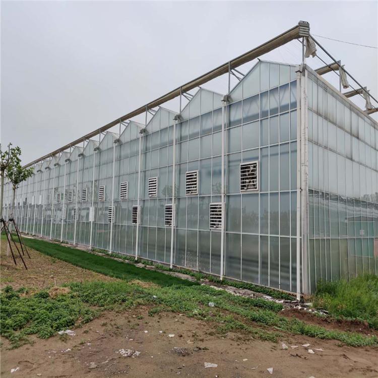 青州鸿川温室公司 建造安装阳光板温室 生产温室大棚骨架