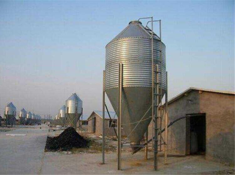 广东省湛江畜牧养殖自动化储料塔自动料线厂家批发多少钱一套