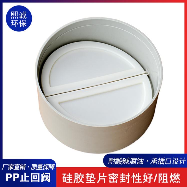 PPs单向止回阀
