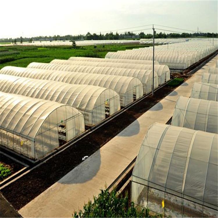 山东温室工程承建 蔬菜薄膜温室 连栋水果薄膜温室
