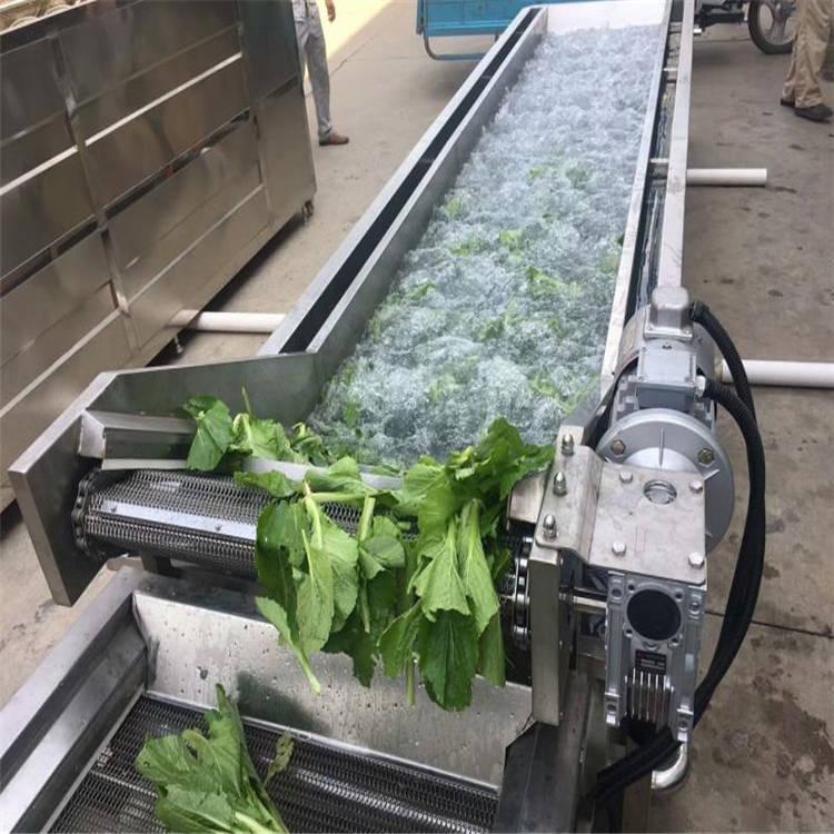 厂家直销西兰花加工设备-全自动净菜清洗设备-翻转风干机报价