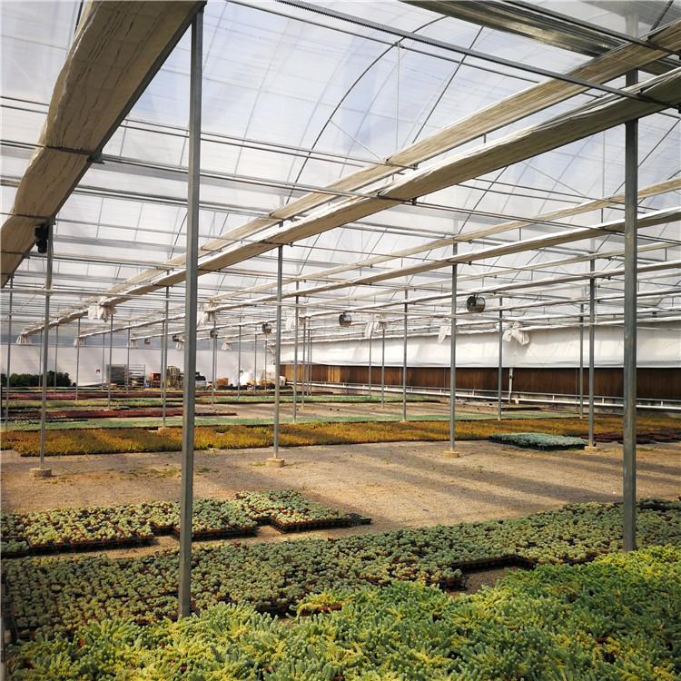 单栋薄膜温室 连栋薄膜温室大棚 山东温室工程建设
