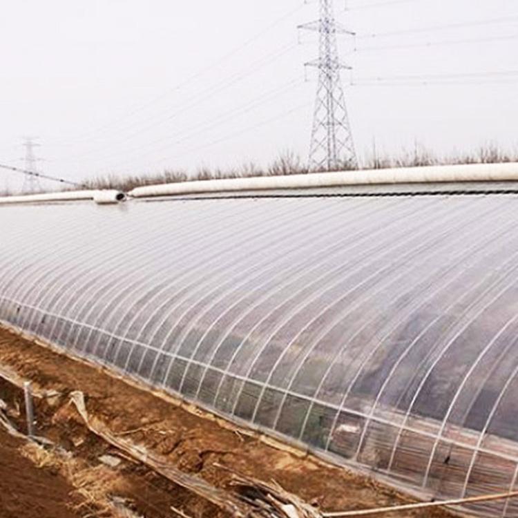 种植大棚 工程承建 山东种植大棚设计施工