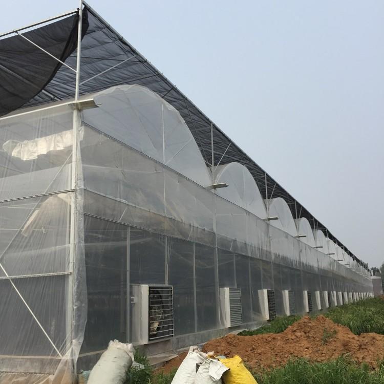 郑州6-25 8-25型 蔬菜大棚 花卉大棚 养殖大棚  外遮阳连栋大棚 连栋温室大棚 钢管大棚 玻璃温室大棚 热镀锌大棚钢管生产销售