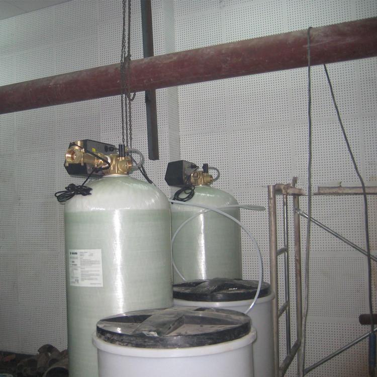 进口富莱克软化水装置双阀双罐软水器