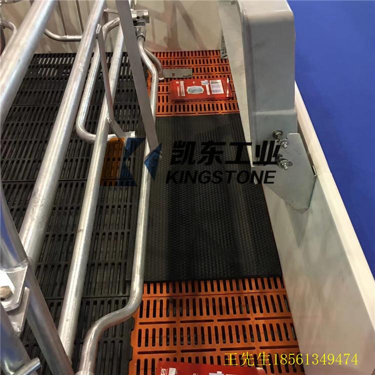 母猪产床垫_青岛凯东母猪产床垫_猪用育肥垫厂家直销