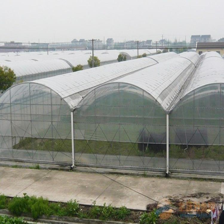 鋆成兴达承接温室蔬菜连栋大棚 薄膜日光温室 钢结构日光花卉温室工程