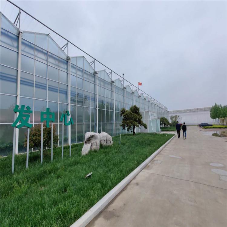 智能玻璃温室预算 连栋玻璃温室方案 玻璃温室承建