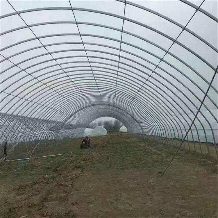 简易蔬菜大棚 上门搭建 简易蔬菜大棚安装