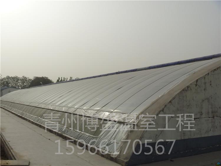 博盛温室 日光温室与连栋温室 双层膜温室大棚骨架 大棚的种类