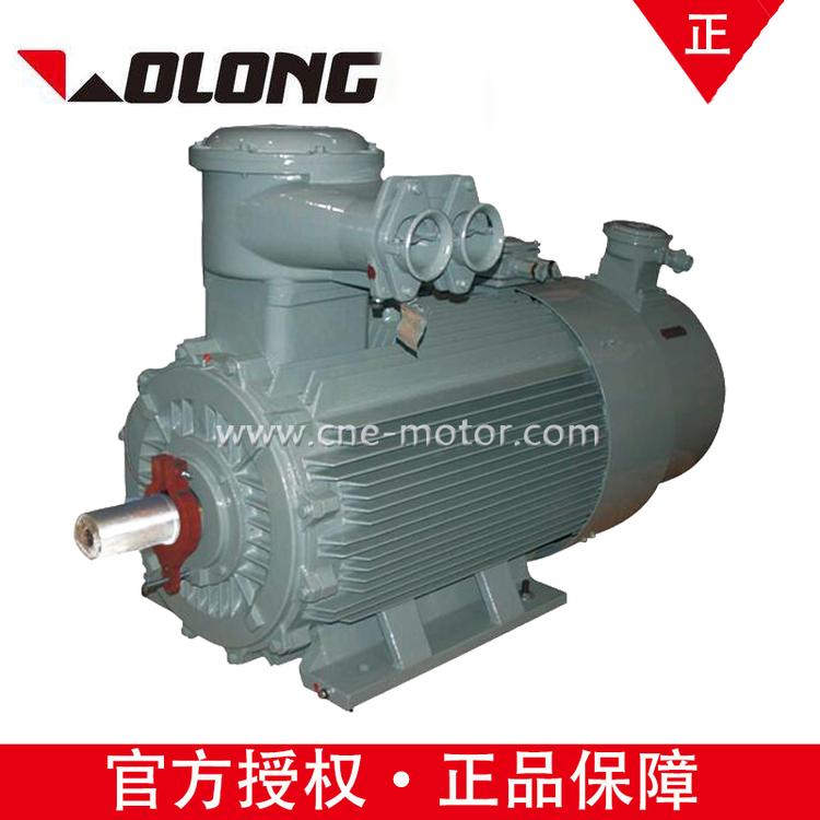 WOLONG南阳防爆YBBP5001-10 400  KW-380V-IC416变频隔爆型异步电动机