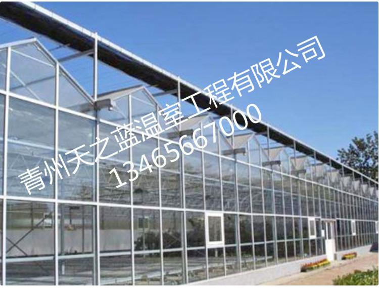 阳光板温室 阳光板大棚承建 温室大棚报价  天之蓝温室