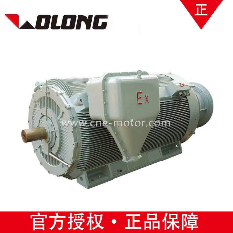 Wolong南阳防爆高压YBBP630S1-2-800KW 6KV BT4 50KZ隔爆电机