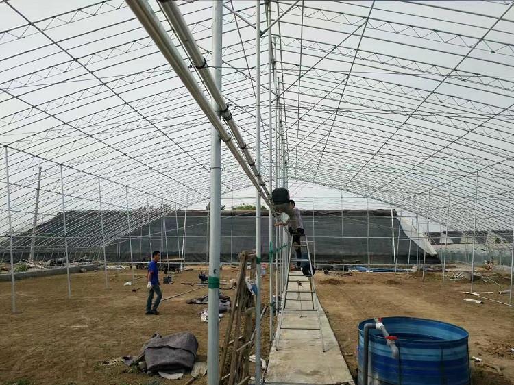日光温室大棚 现货定制 量大优惠  博盛温室