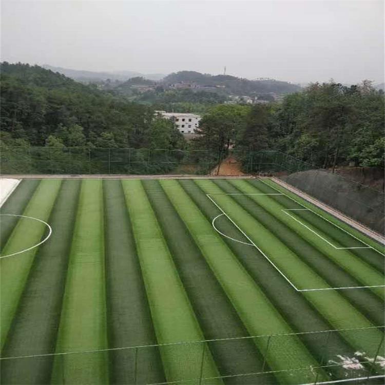 厂家直销人造草坪  学校塑胶足球场草坪销售