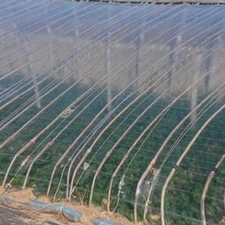 西瓜膜 大量批发 青州农业大棚膜生产厂家