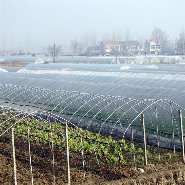 日光温室大棚 蔬菜日光温室大棚建设