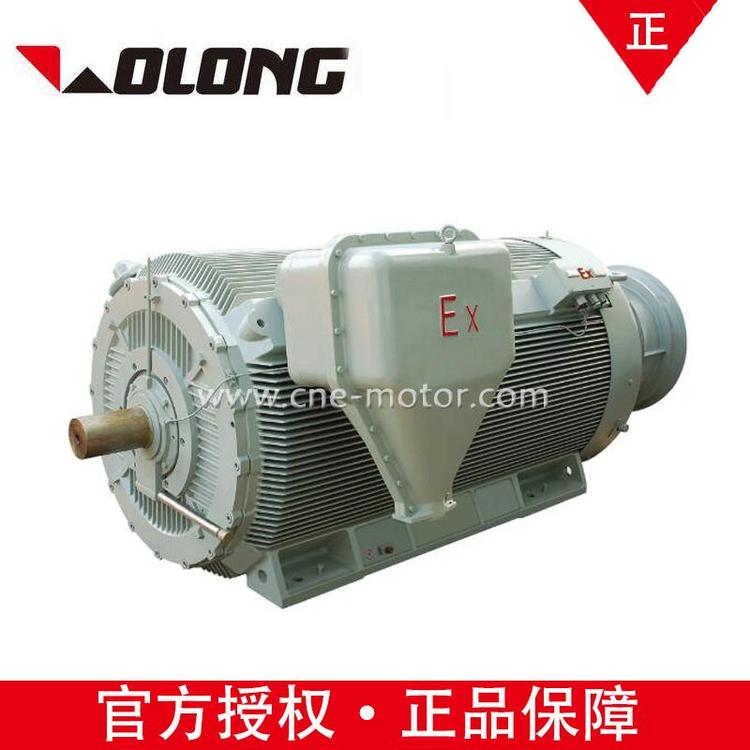 Wolong南阳防爆高压YBBP900S2-10 1250KW 10KV BT4 50KZ隔爆电机