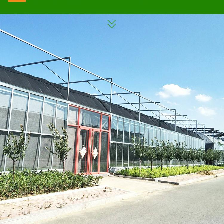 山东玻璃温室公司   玻璃温室建造   玻璃温室承建